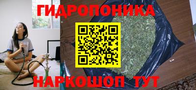 стаф Лесосибирск