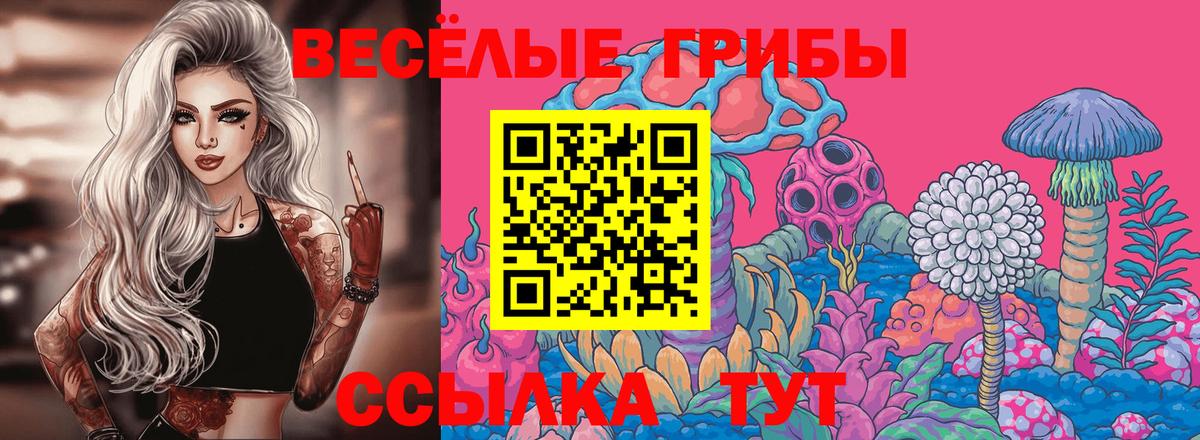 Галлюциногенные грибы мухоморы  Вход с VPN  Усть-Джегута 