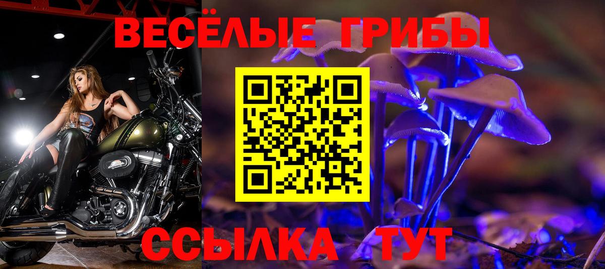 Псилоцибиновые грибы Psilocybine cubensis Усть-Джегута